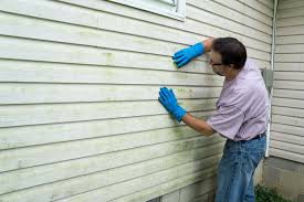 Professional Siding in Roanoke, AL